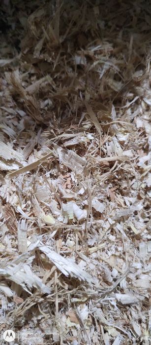 Zrębki wędzarnicze