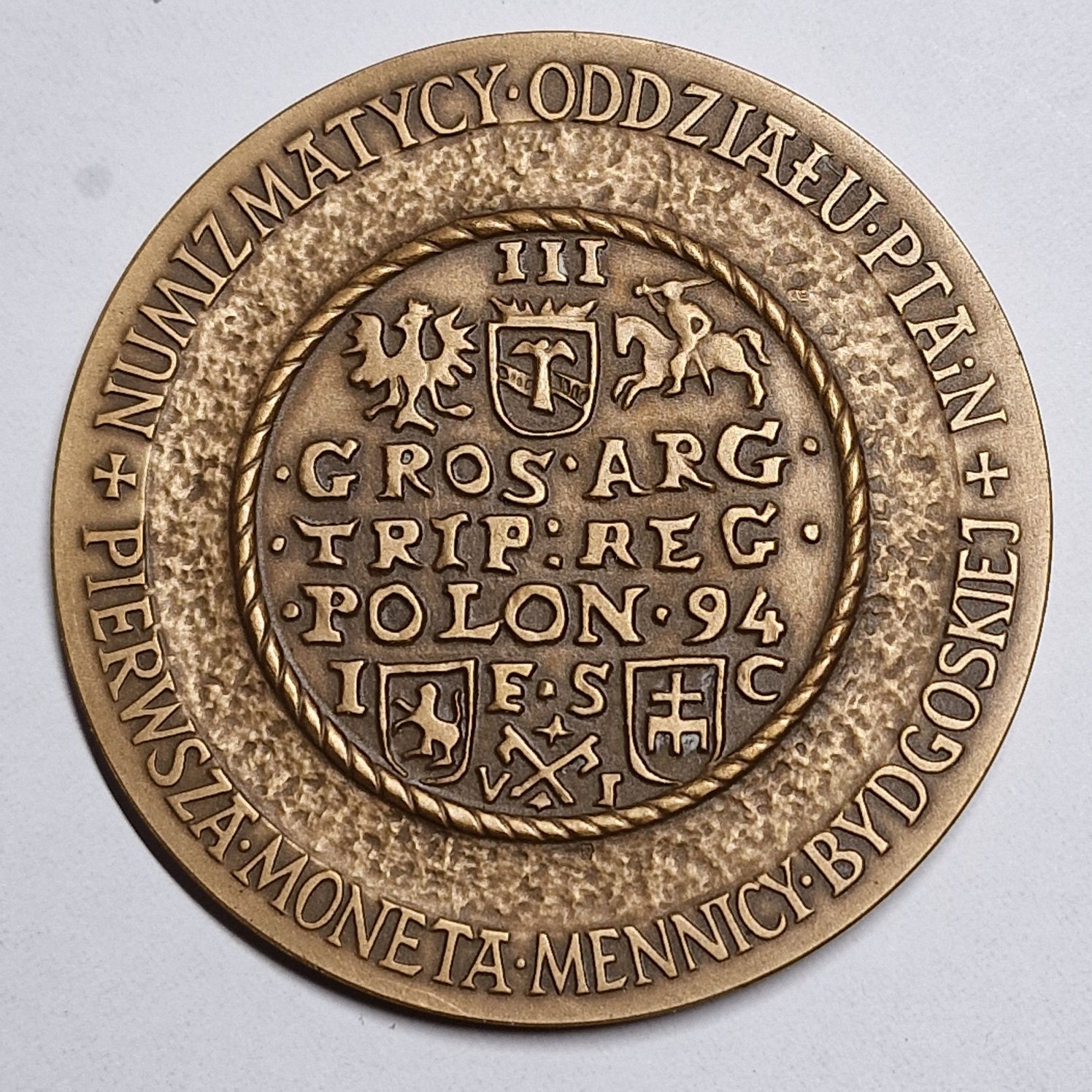 Medal Kazimierz Wielki PTAiN