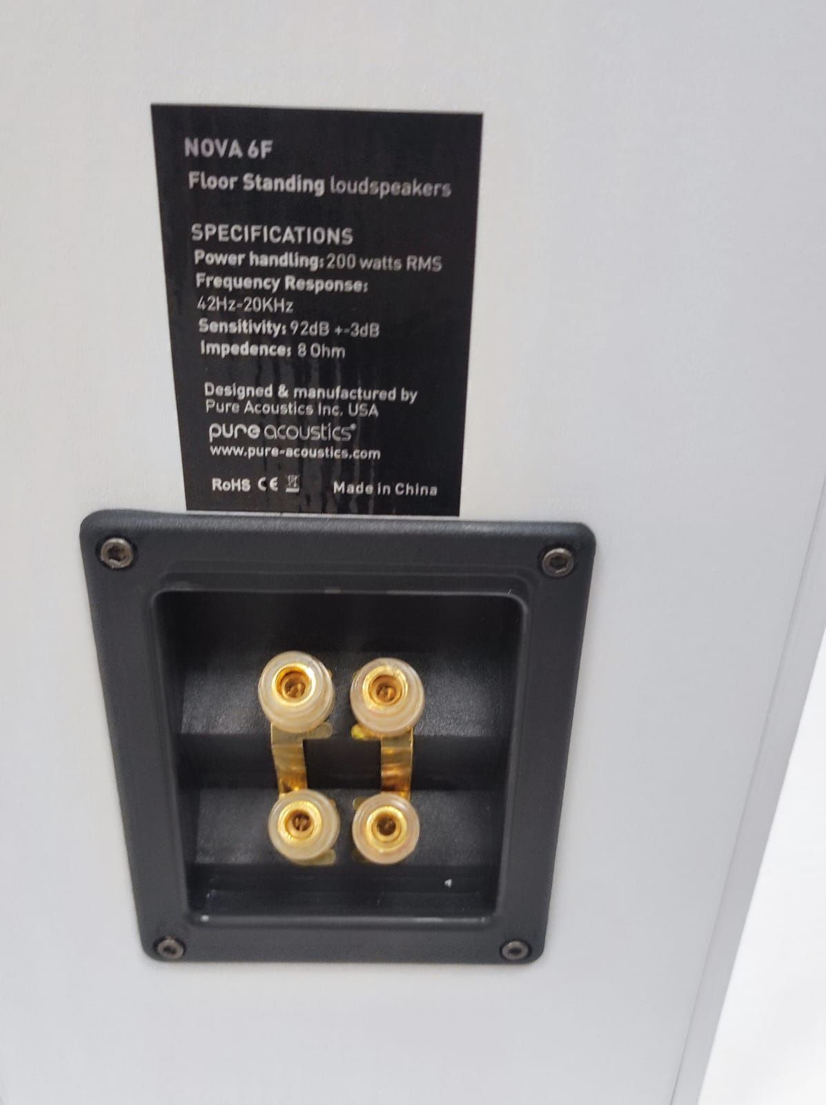 Pure Acustics Nova 6 PARA