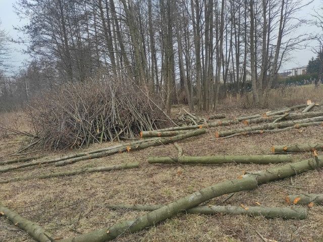 Porządkowanie działek,przecinka drzew,koszenie traw,zrębkowanie gałęzi