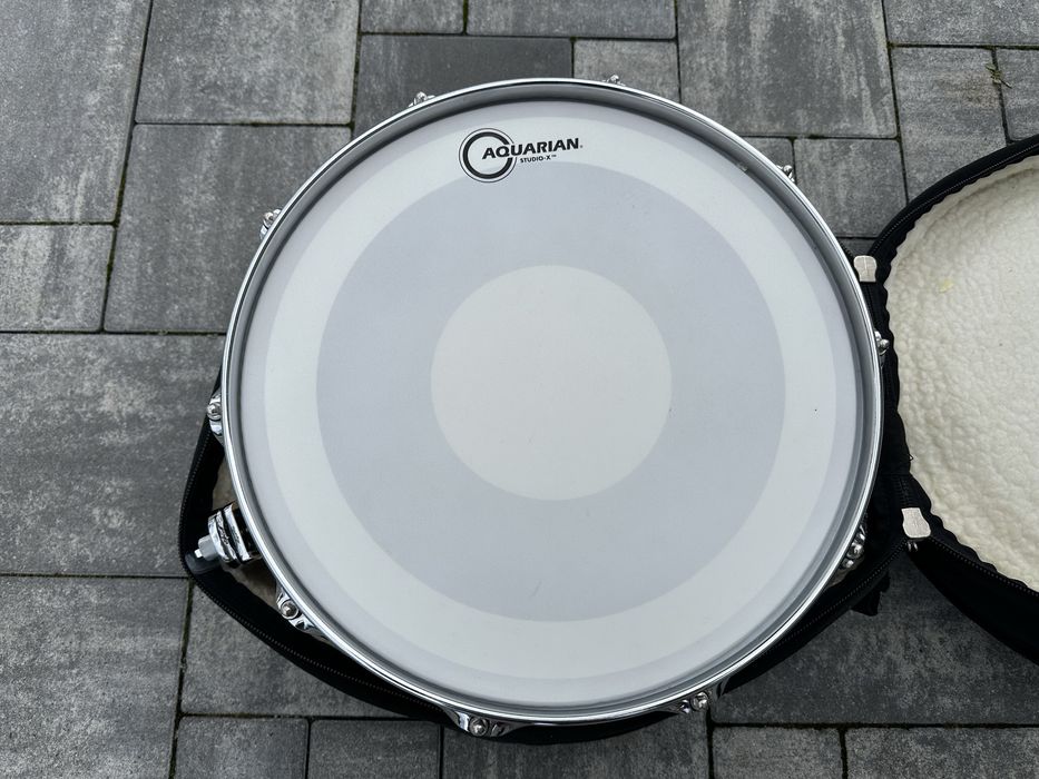 Werbel Dw Collectors Maple 14”x6”