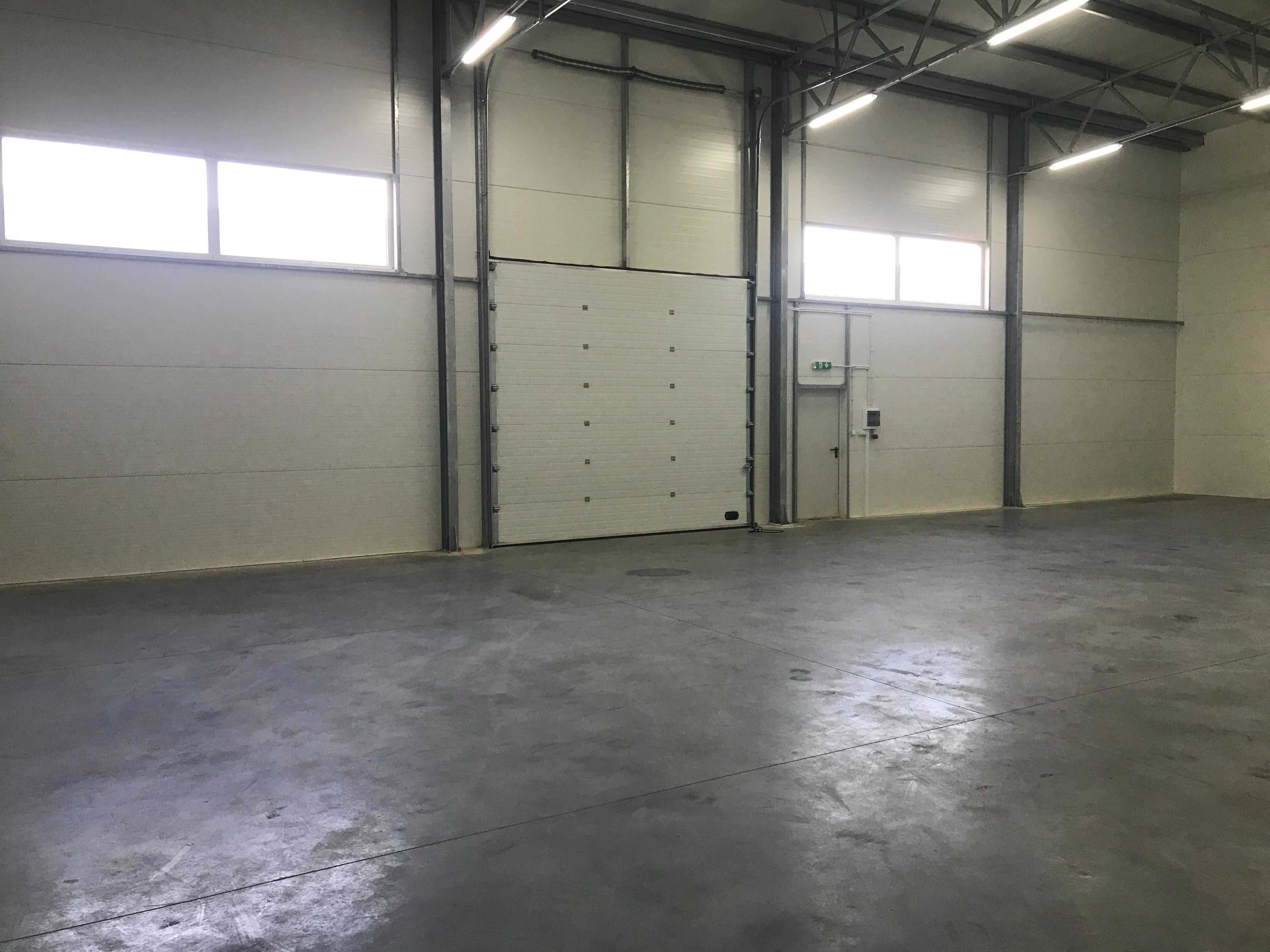 hala do wynajęcia 250m2