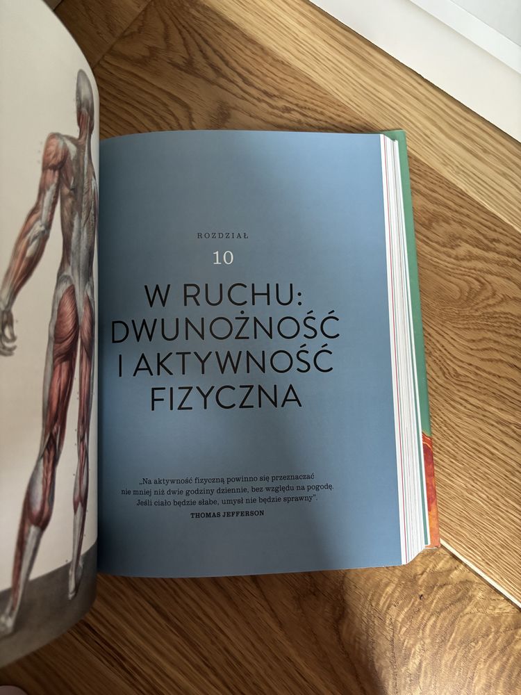 Ciało. Instrukcja dla użytkownika. Edycja ilustrowana