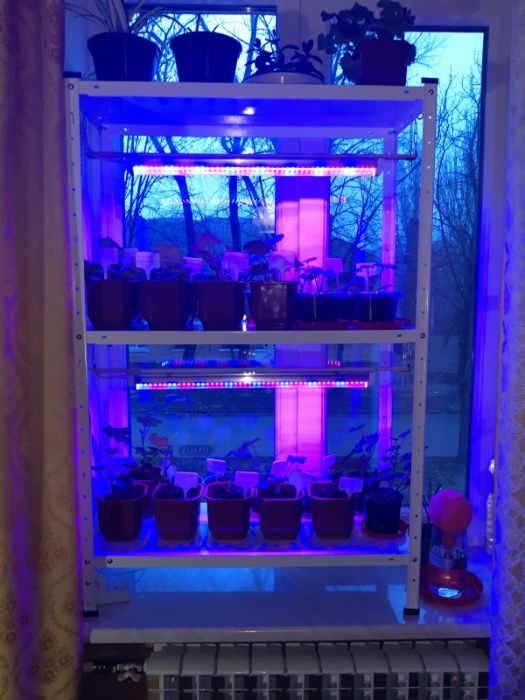 Стелаж розборний металевий під квіти для дома, на балкон в теплицю