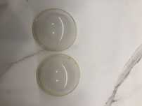 Conchas colectoras de leite da Chicco