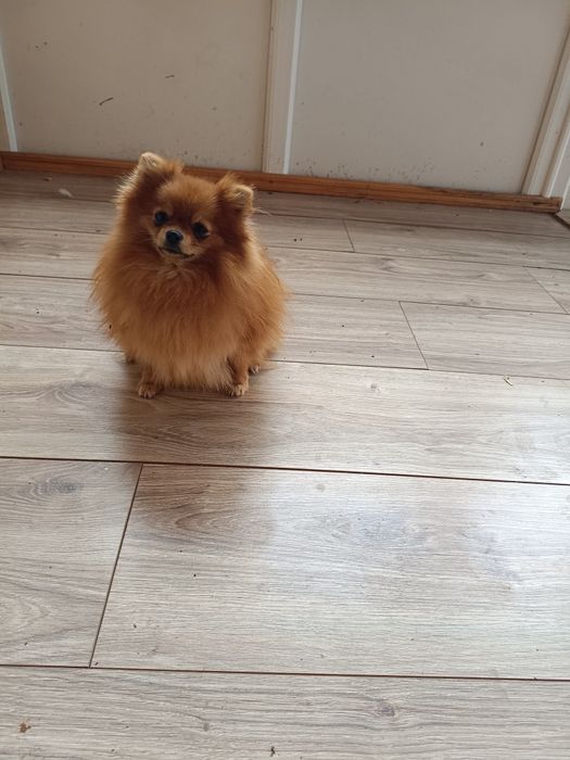 Мікро міні підрощена дівчинка