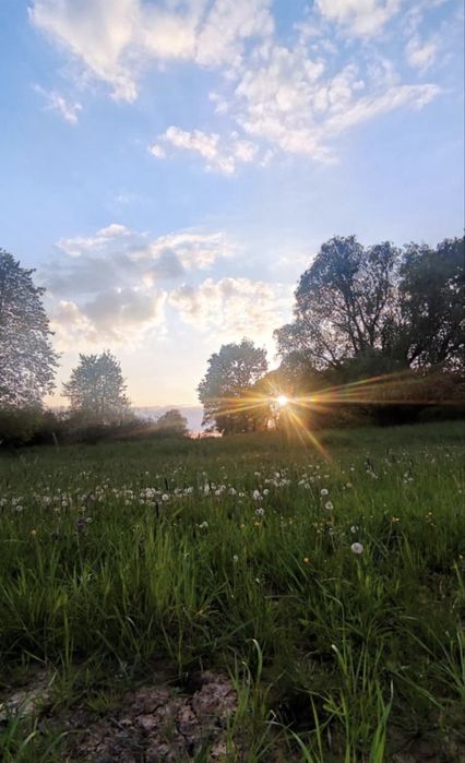 Działka rolna z łąką, lasem i stawem – 5,76 ha – Gmina Wińsko