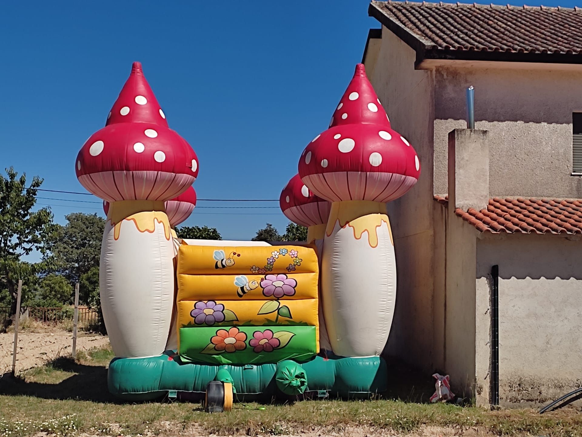 Alugo insufláveis / insuflável para eventos