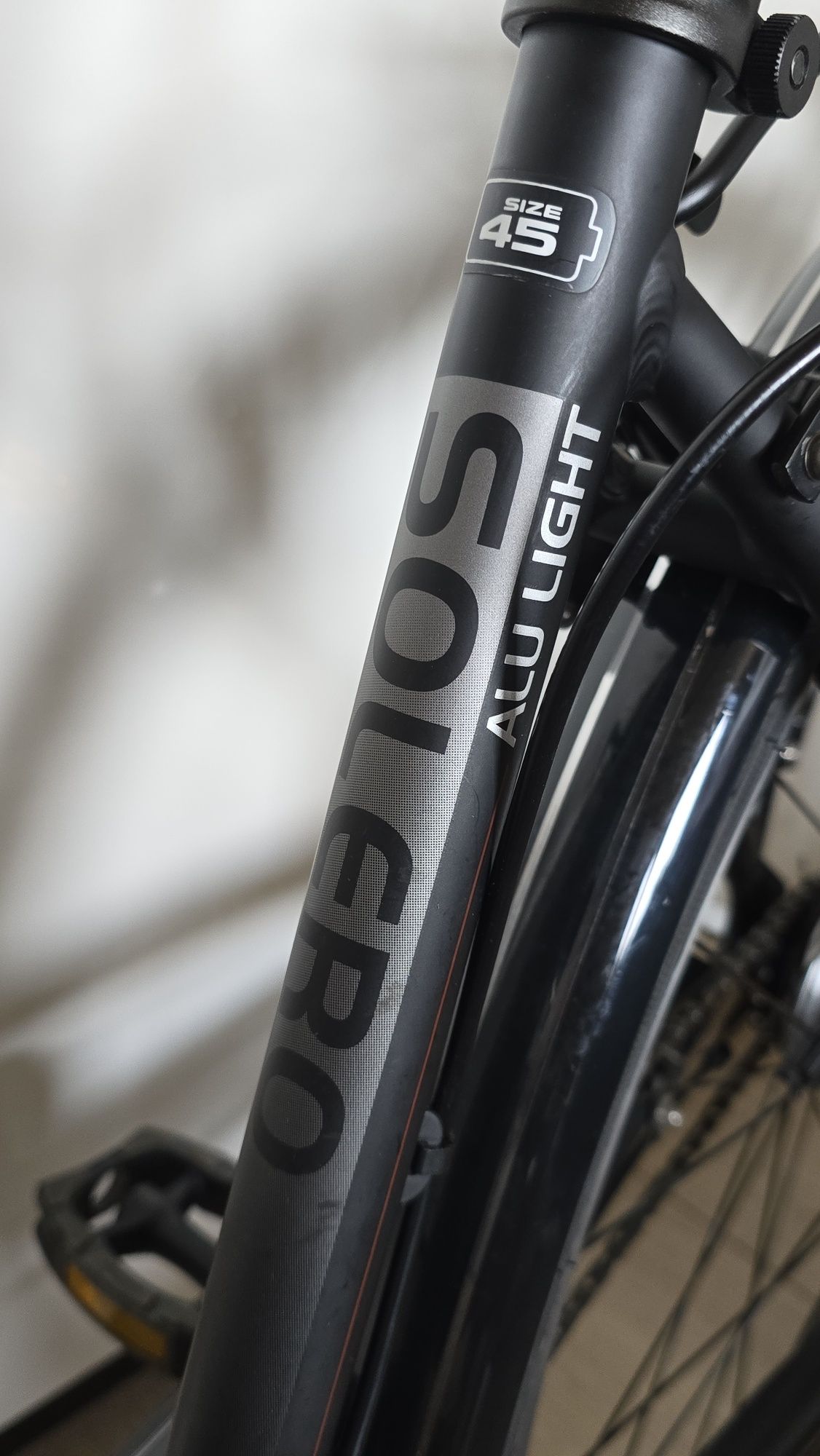 Rower Pegasus Solero Alu Light