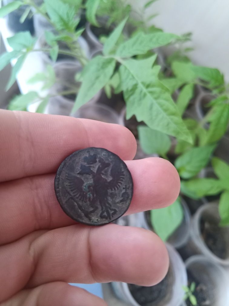 Монети Деньга 1746
