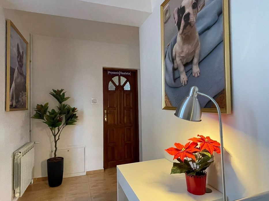 Najlepszy hostel w Warszawie - Hostel Warszawa Pokoje PL UA RU