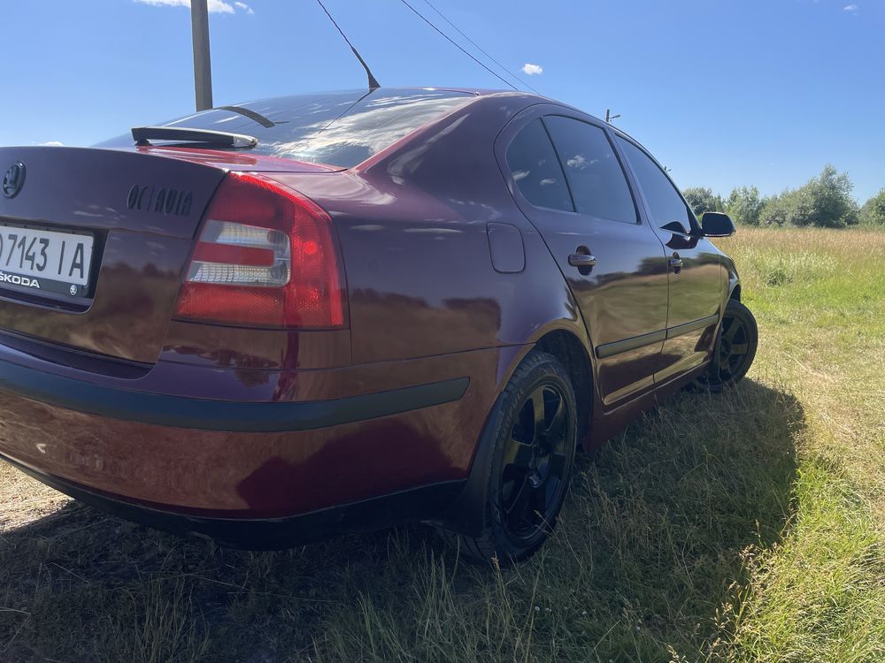 Skoda octavia шкода окставія 1.9 дизель