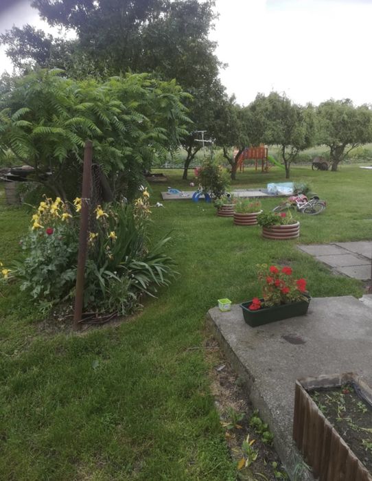 Wynajmę polowe domu