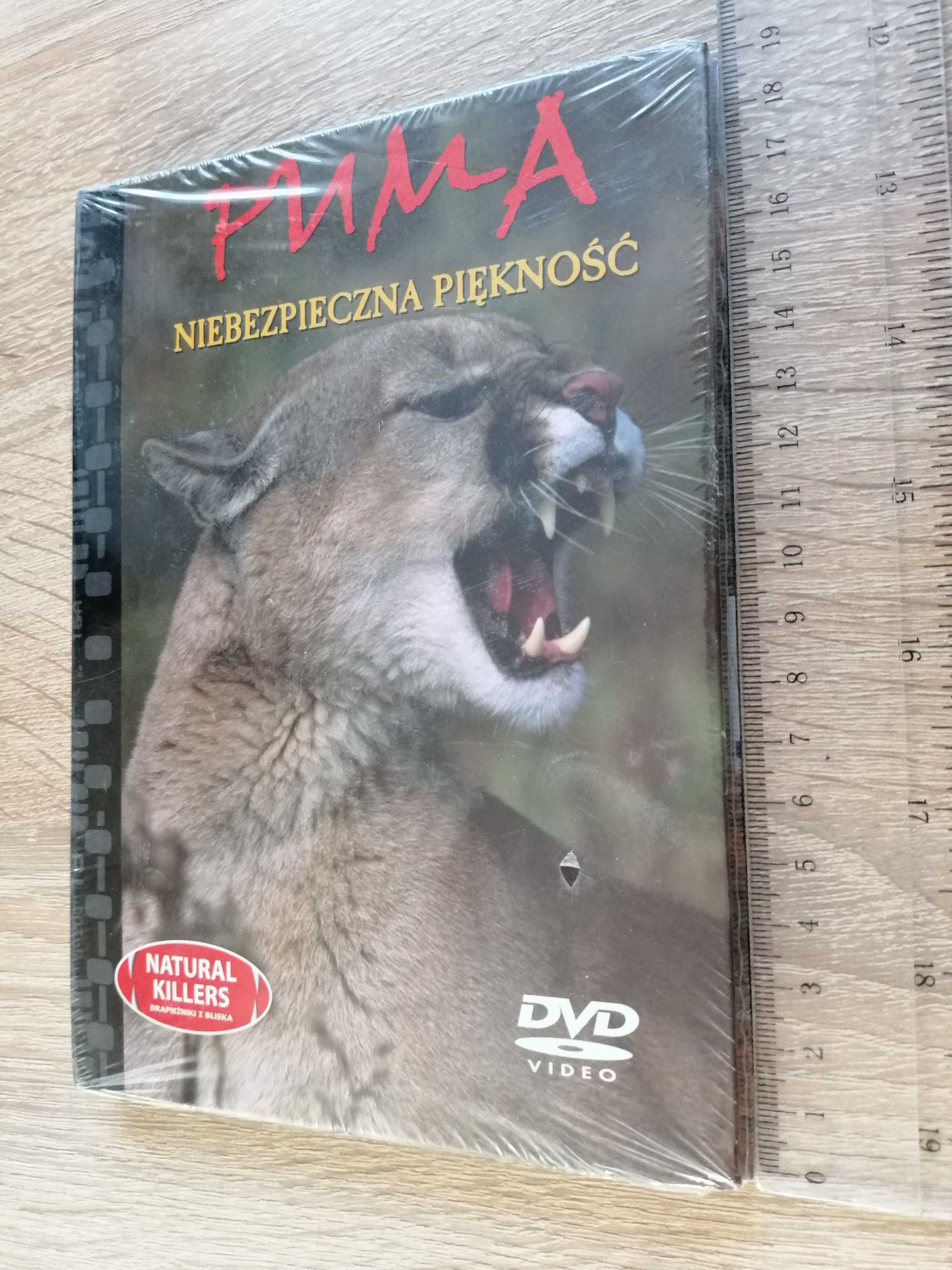 ,,Puma" niebezpieczna piękność DVD