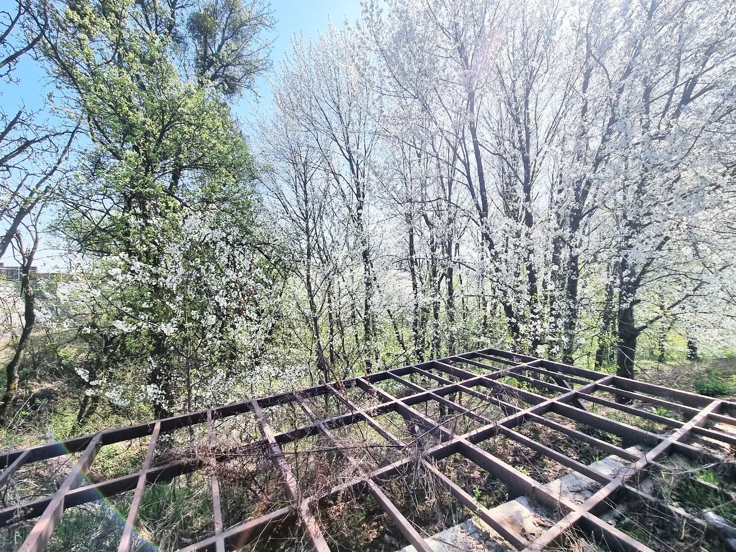 Будинок 183м тераса у лісі закрите містечко с. Лісники Обухівський р-н