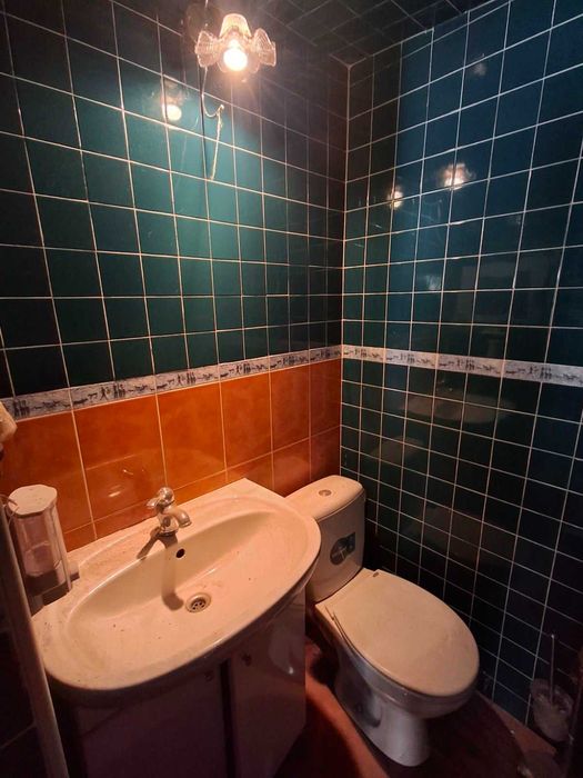 (13) Продам добротний компактний будинок у Великодолинському