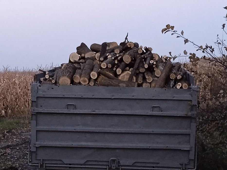 Продається машина дров  клен, акація, осика, липа, чорний тополь