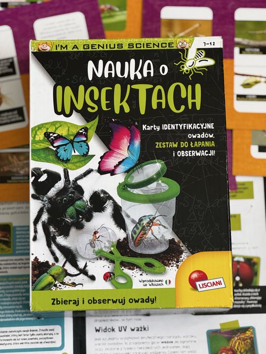 Zestaw  nauka o insektach