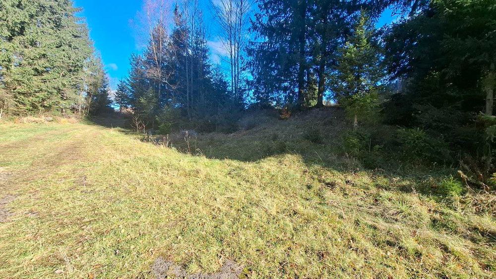 Земельна ділянка 8сот поруч готелю Синьогора