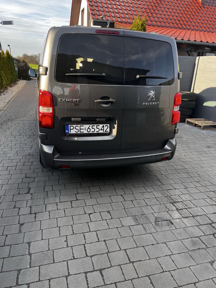 Traveller 2018/2019