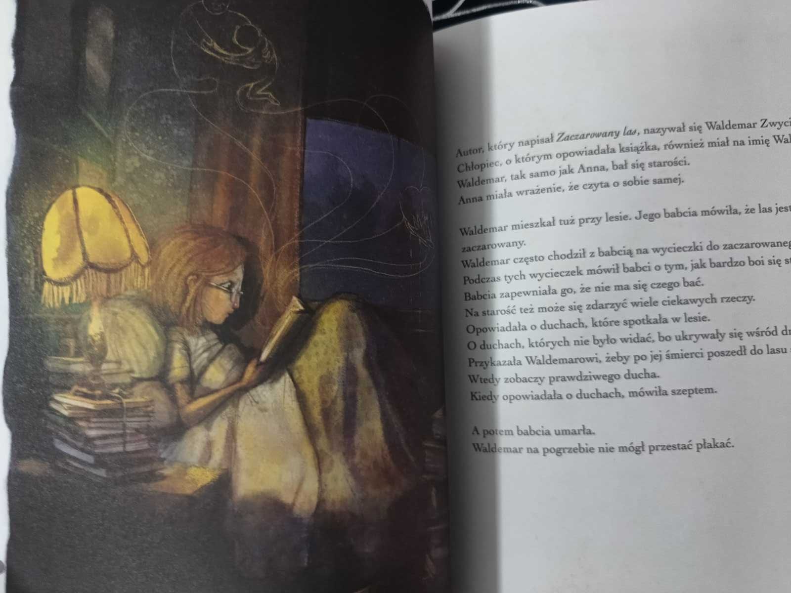 Lisa Aisato, "O dziewczynce, która chciała ocalić książki" – Nowa