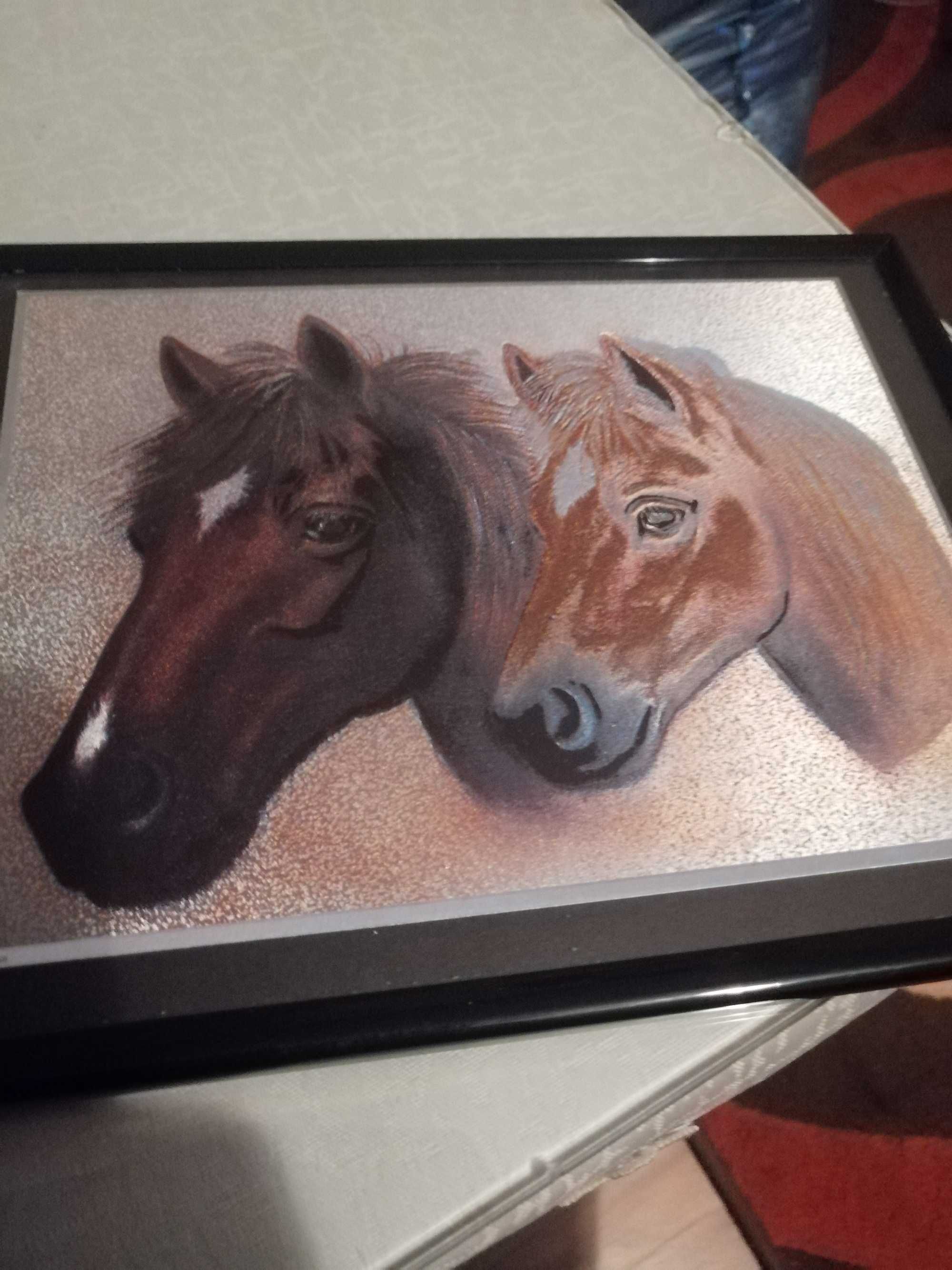 Obrazek w ramce konie.