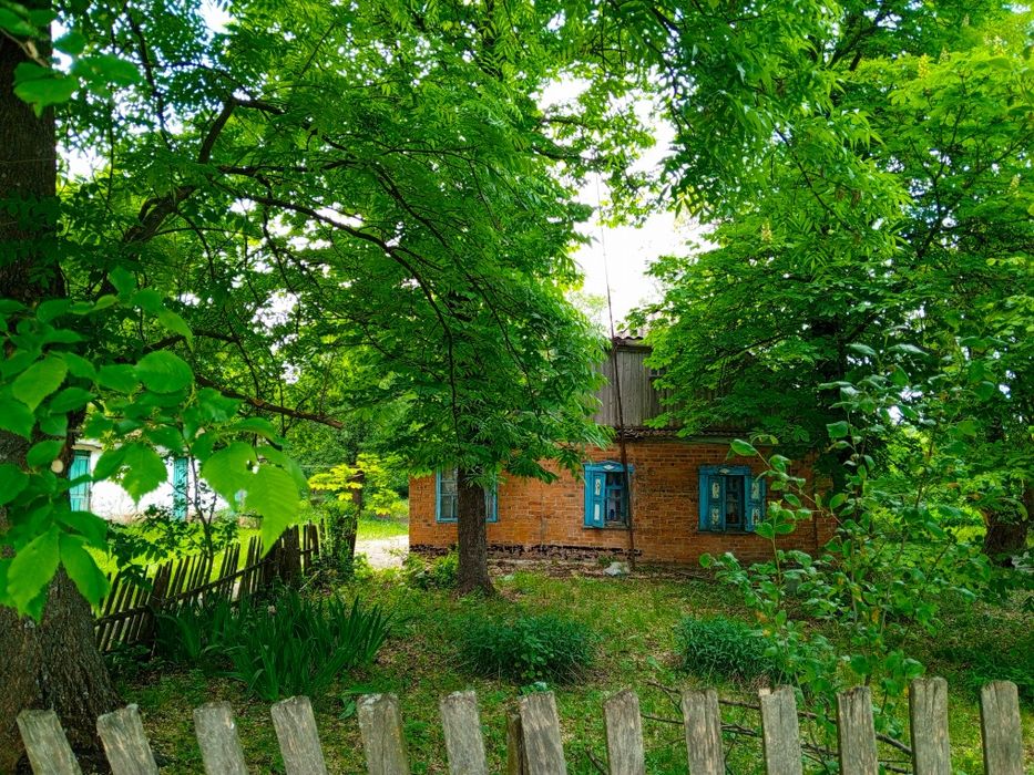 Здам будинок у селі для родини з дітьми