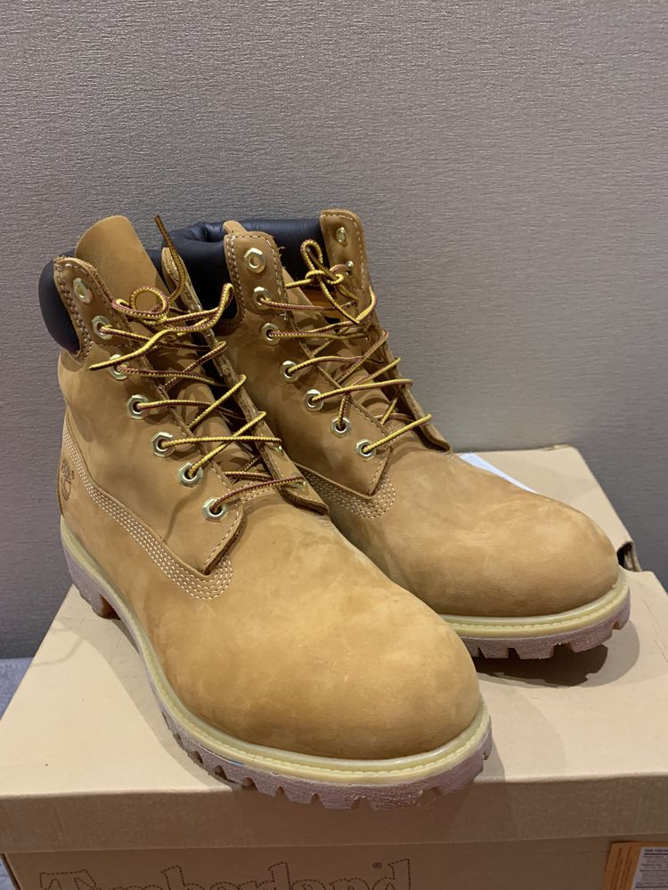 Черевики туристичні Timberland 6 In Premium