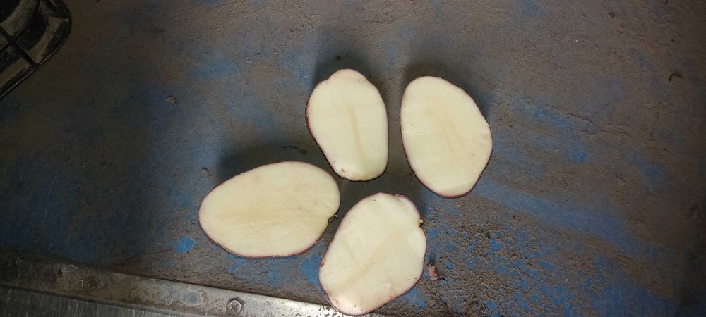 Ziemniaki Ricard jadalne