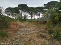Terreno com 5972 m2 para construção