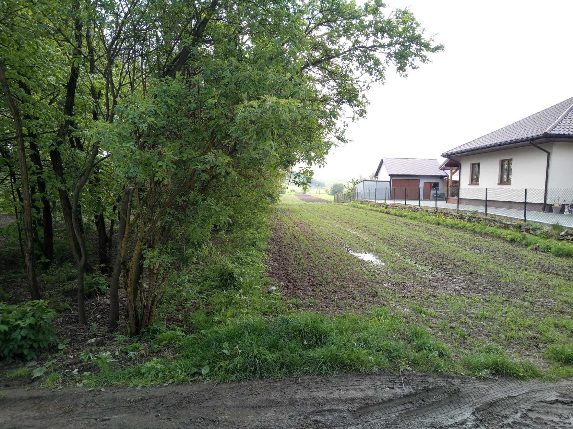 działka rolno-budowlana 3000 m2, dojazd asfaltowy, gm. Chmielnik