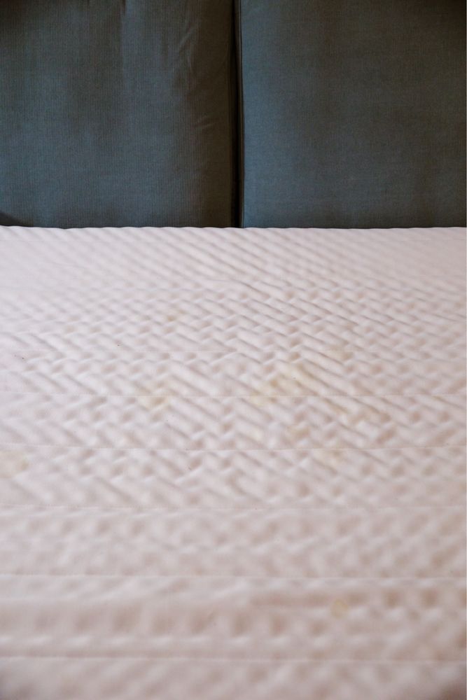 Ikea Sofa Grönlid kanapa 2-osobowa rozkładana | jasnozielona