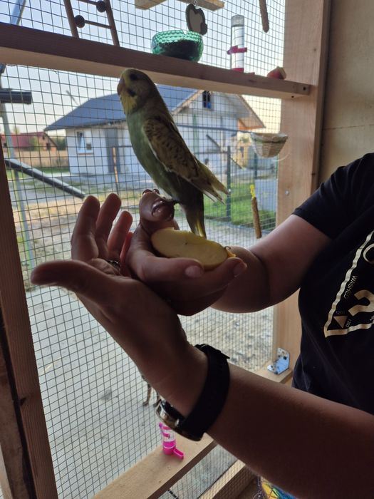 Noclegi na wsi nad rzeką