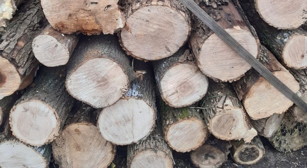 Продам дрова твердых пород