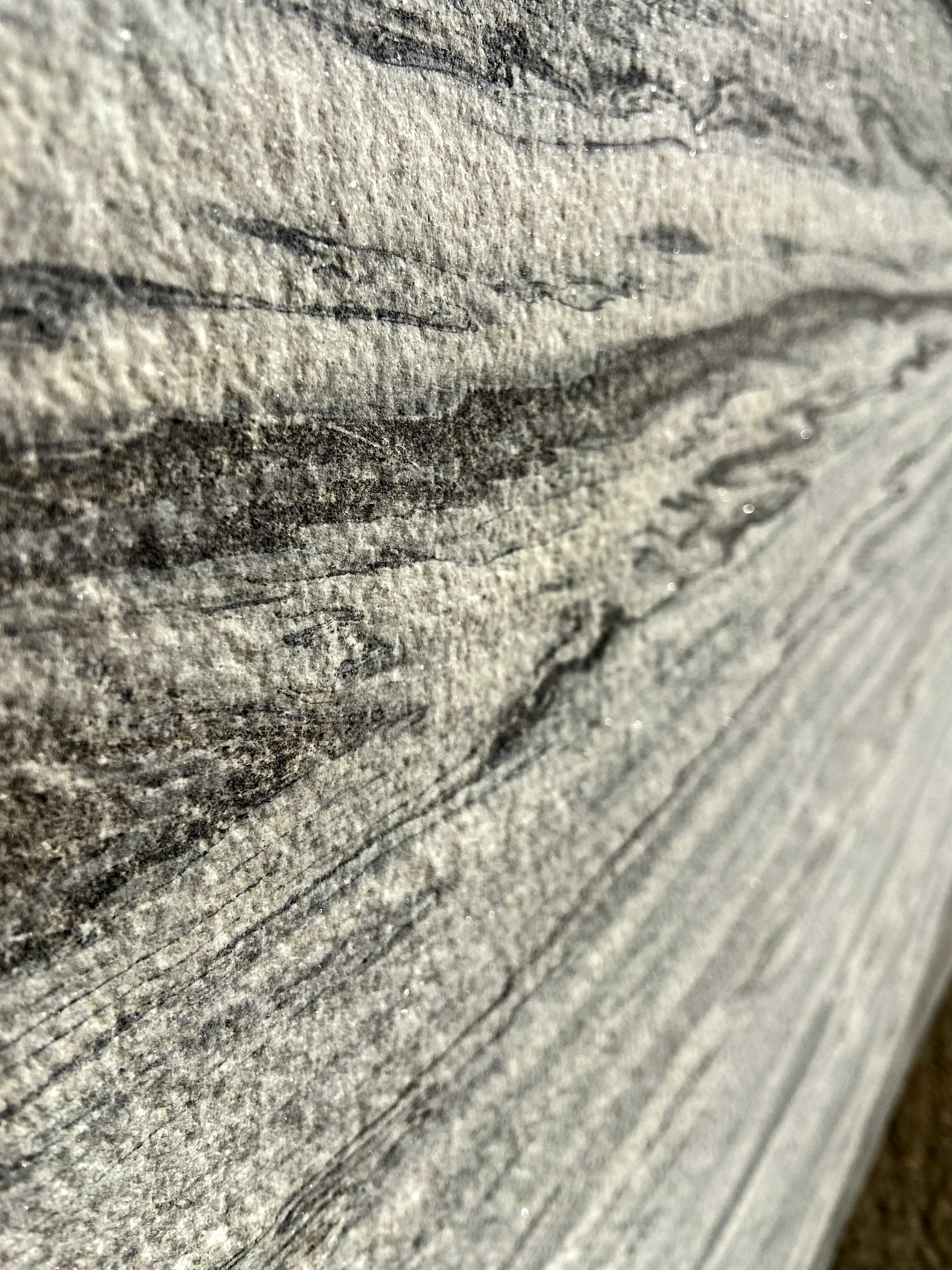 ARCTIC WHITE marmur ARKUSZE kamień w ROLCE importer NAJTANIEJ hit