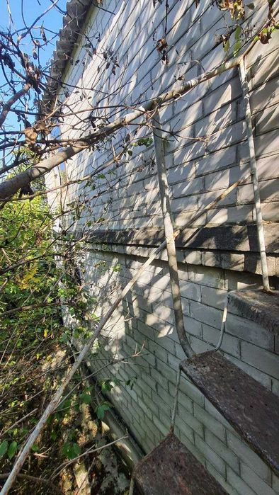 Продам дачу с. Нижний Бишкин