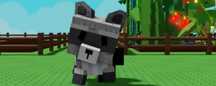 Racoon Єнот в грі Grow a Garden | Roblox