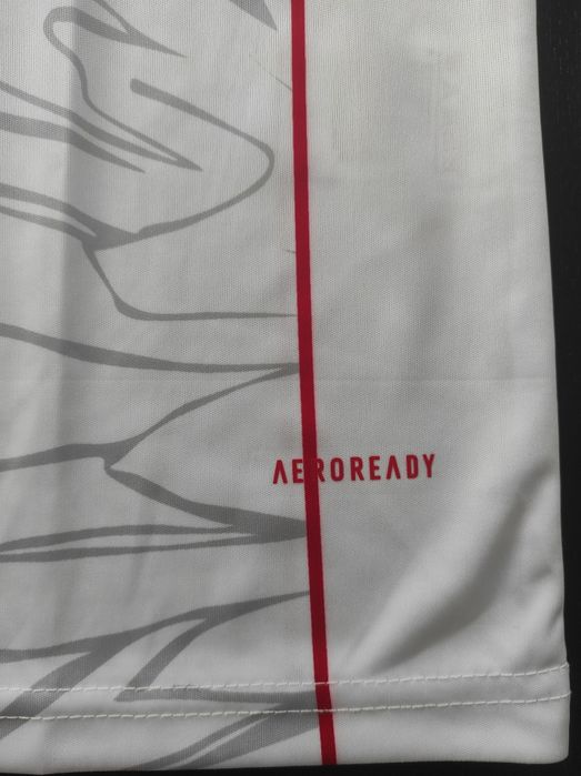 Camisola do Benfica, edição especial