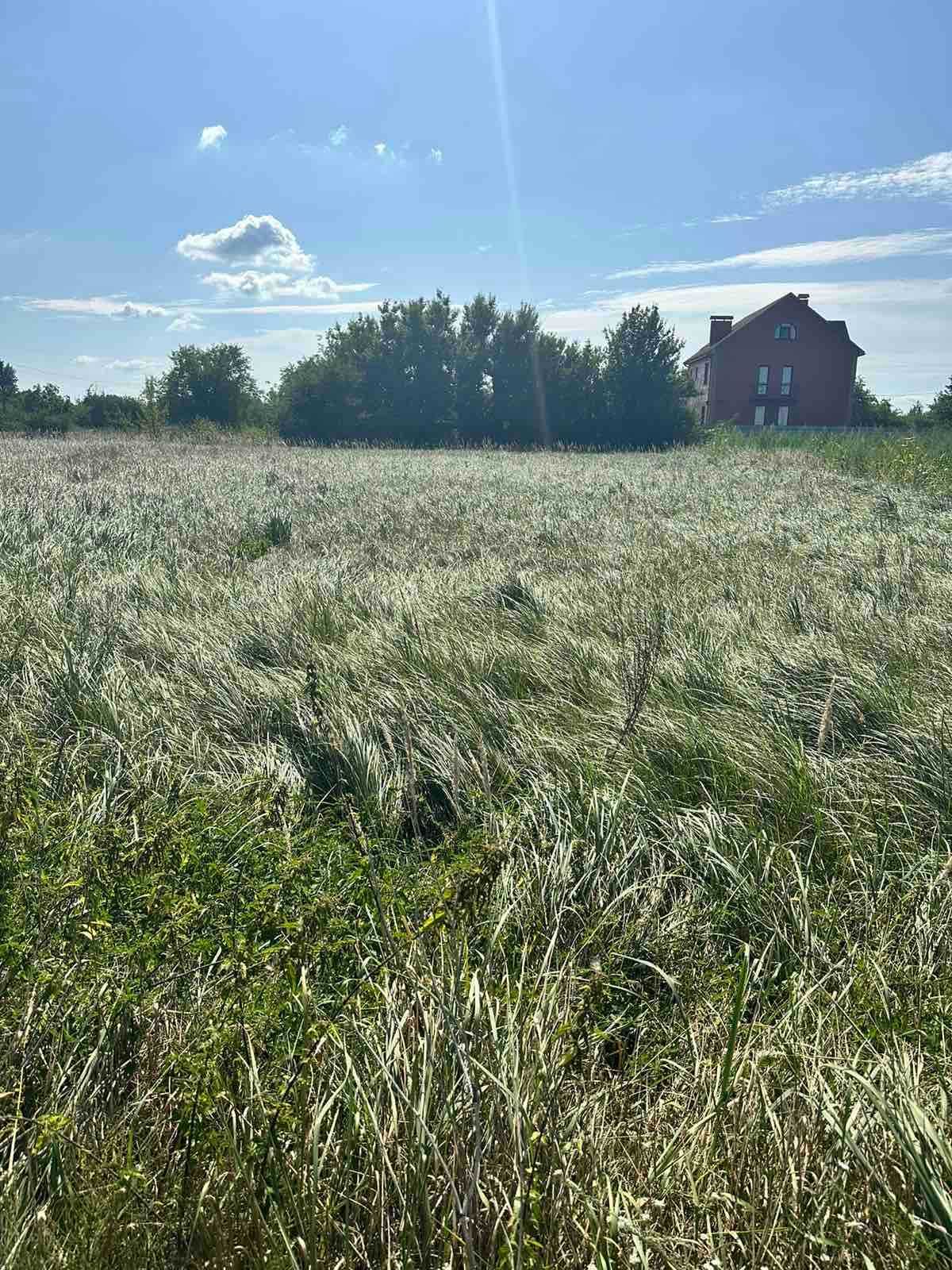 Земельна ділянка с. Циблі  12сот.