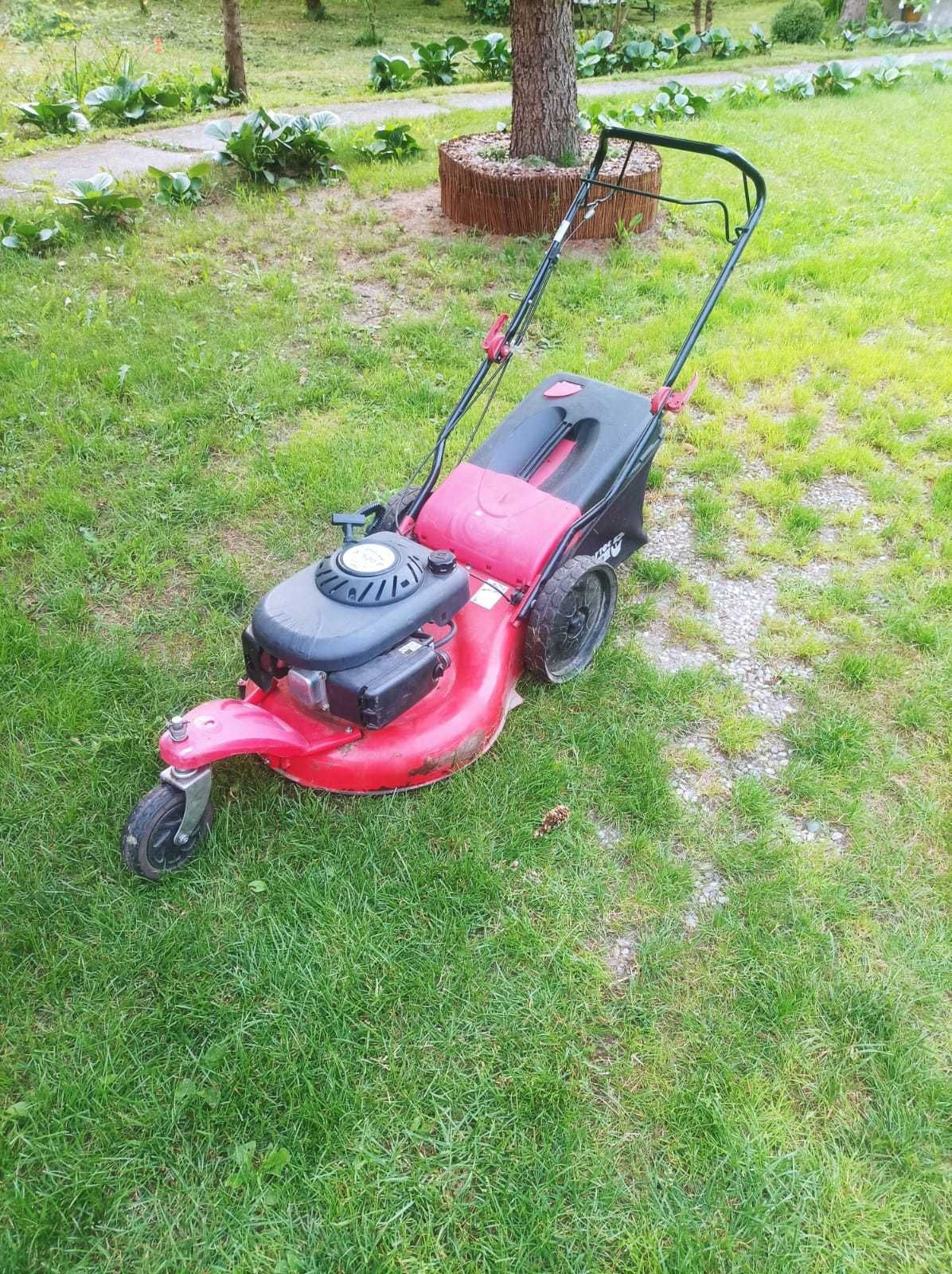 Kosiarka spalinowa Power Tek z napędem