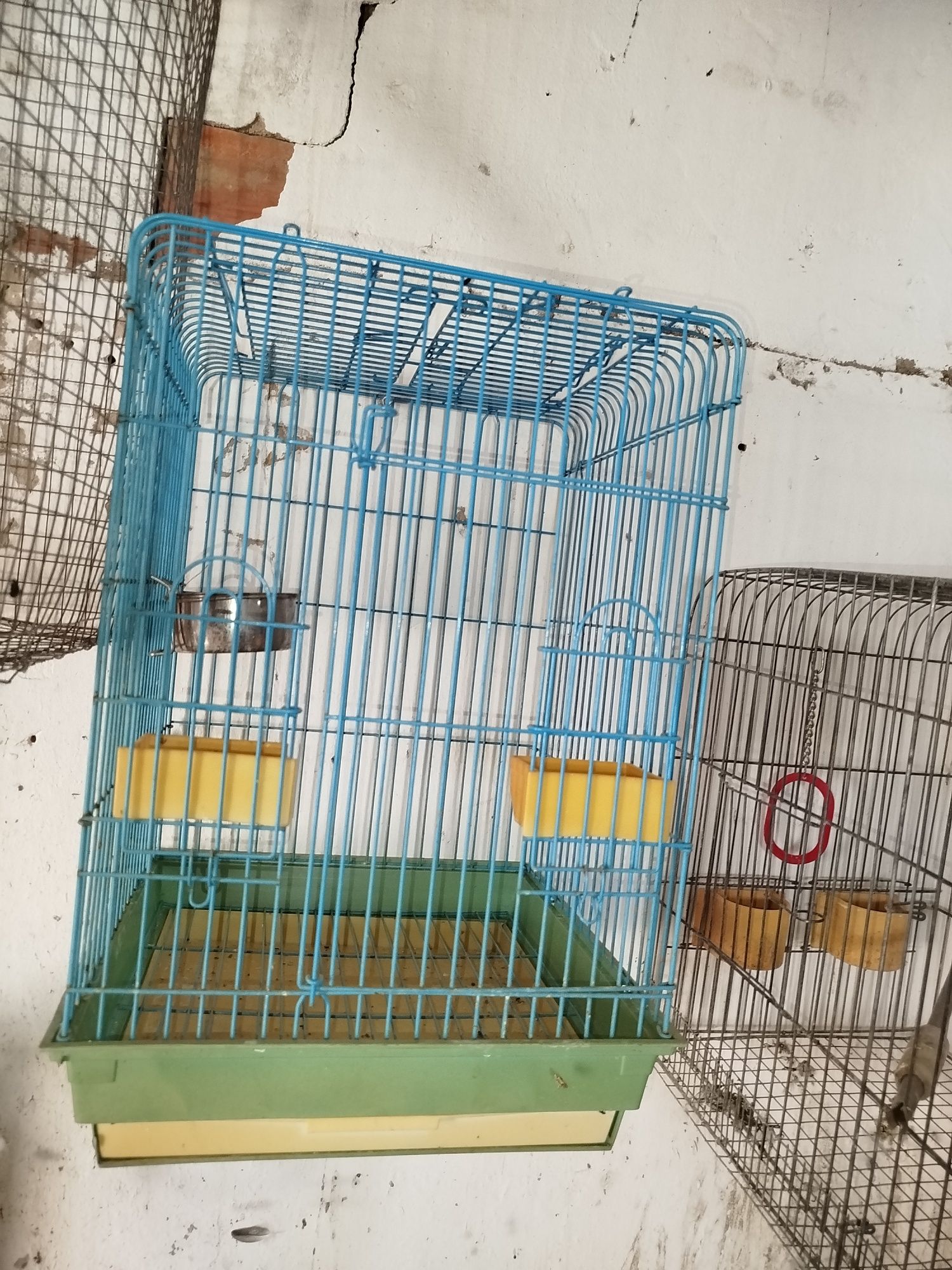 Gaiolas sob orçamento