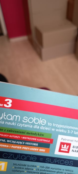 Książka człowiek z czerwoną chorągiewką