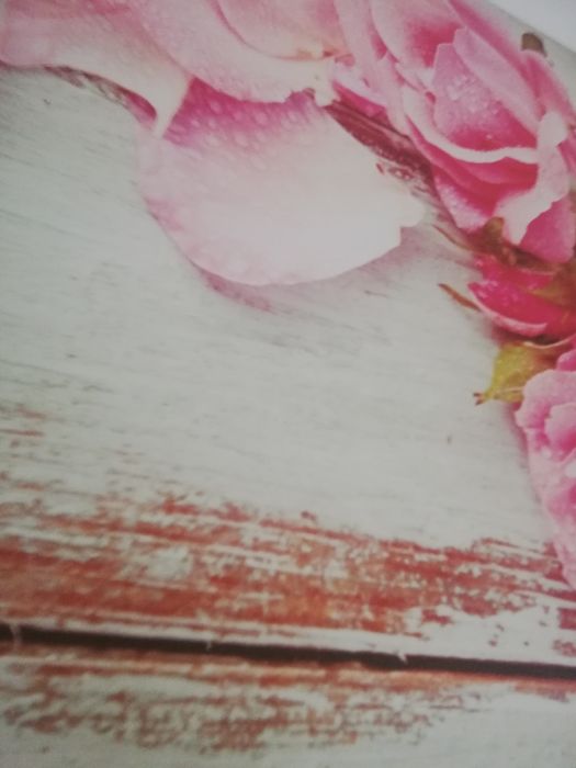 Obraz 58/58cm róże