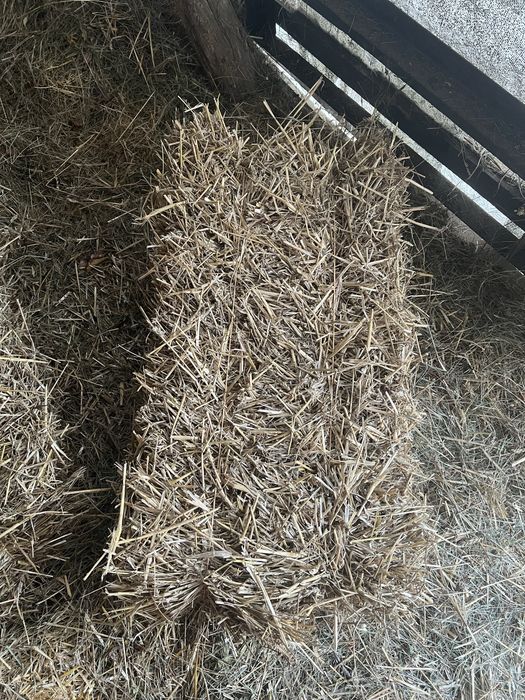 Продам солому в тюках