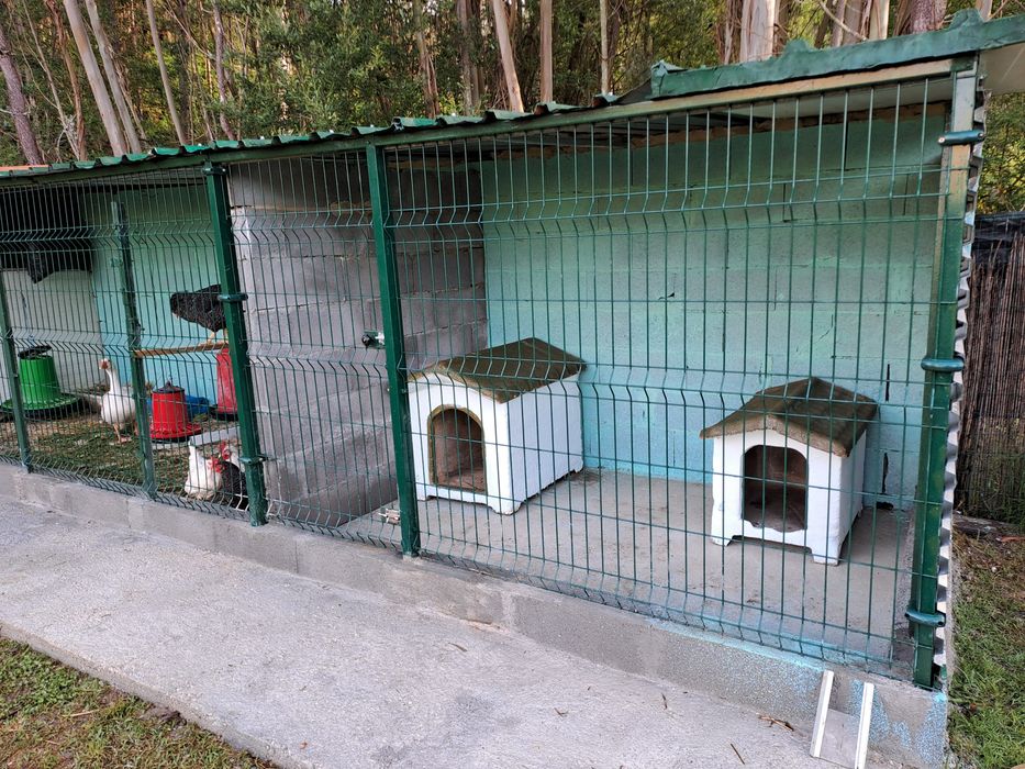 Hotel para Cães Caldas da Rainha - Sao Martinho do Porto  - Foz Arelho