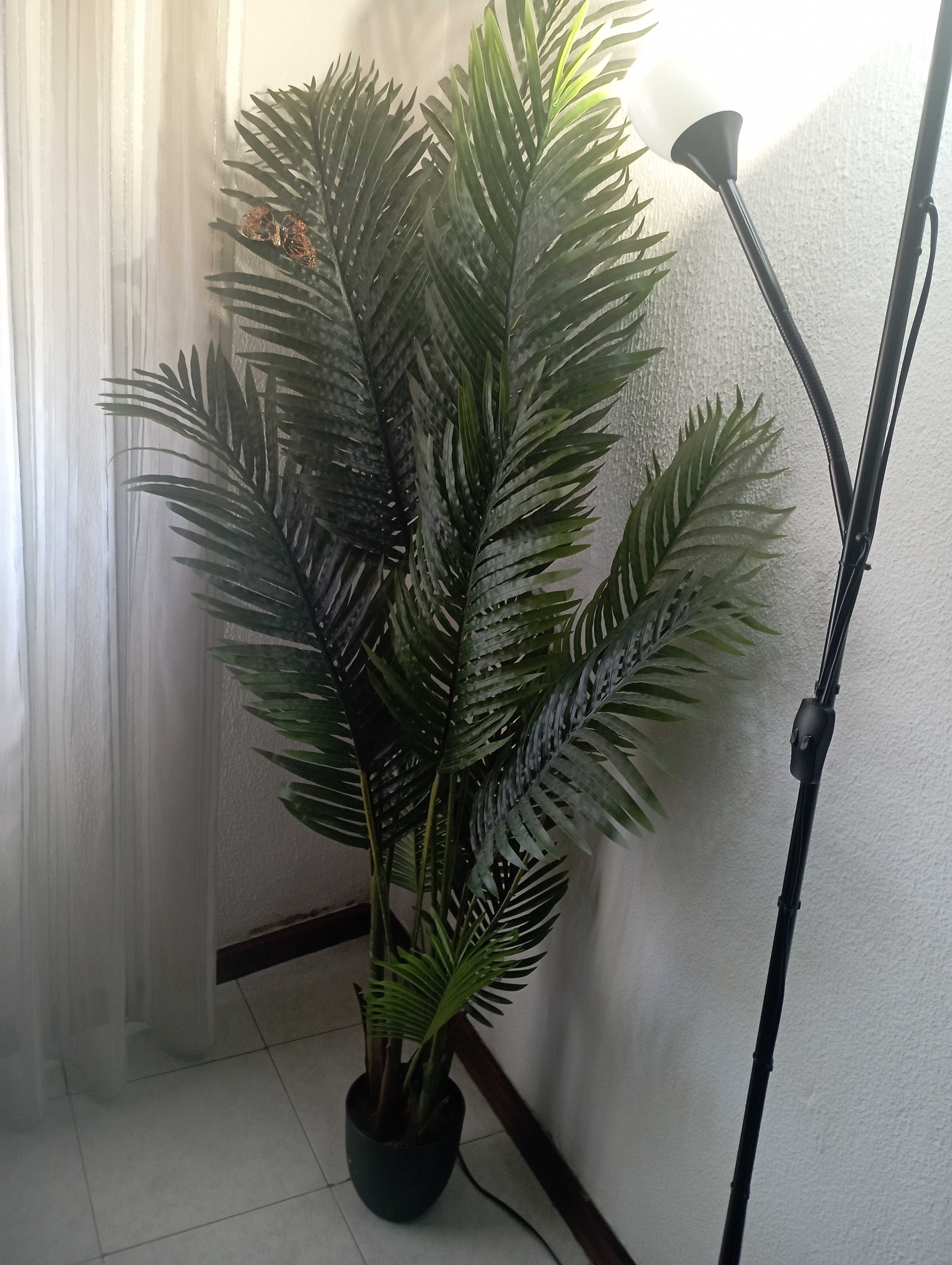 Palmeira 1.80 CMS nova