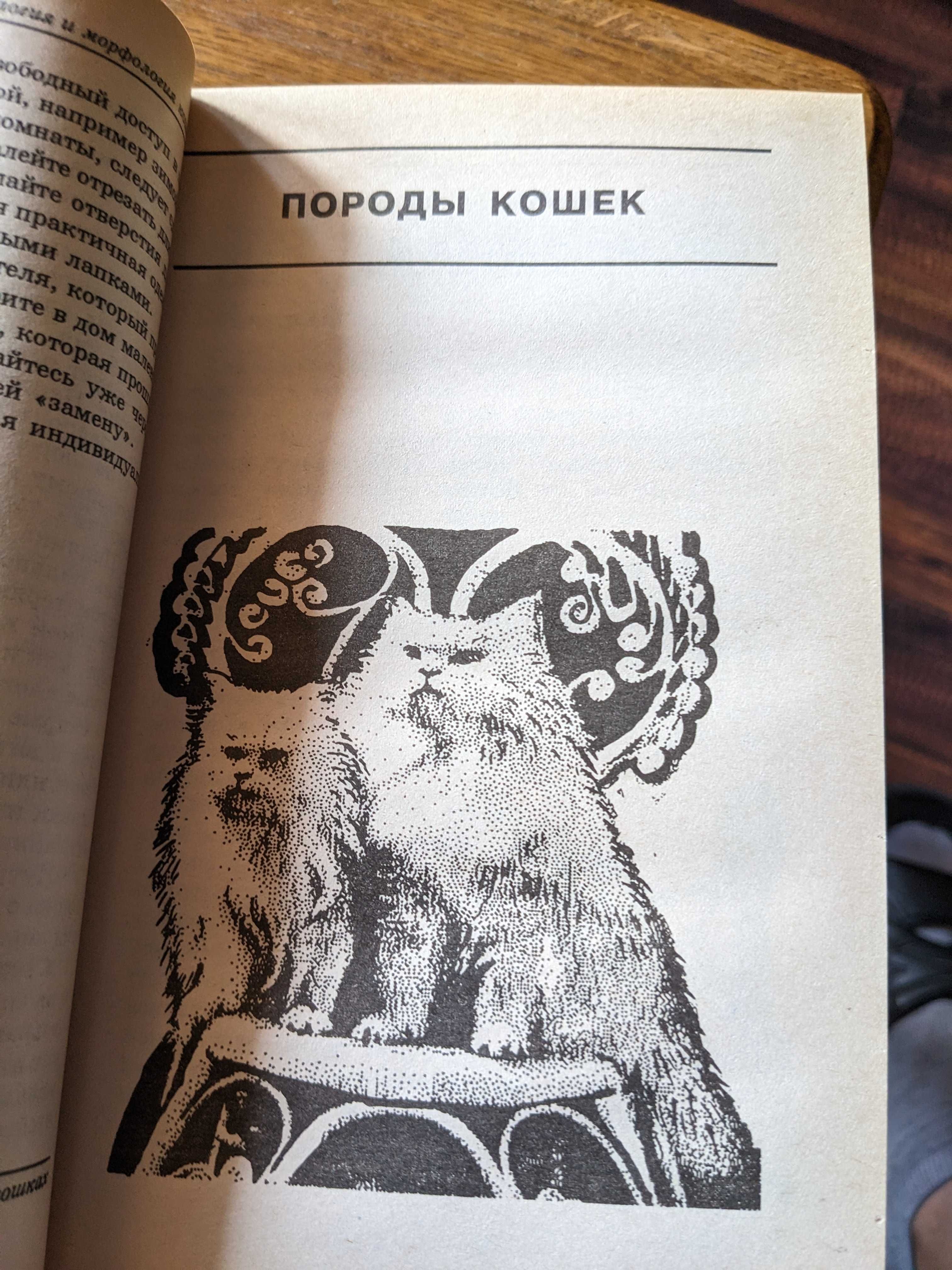 Почти все о кошках. Для дома для семьи. Книга -сервис.