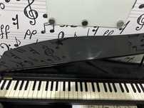 Korg micropiano (piano de cauda mini)