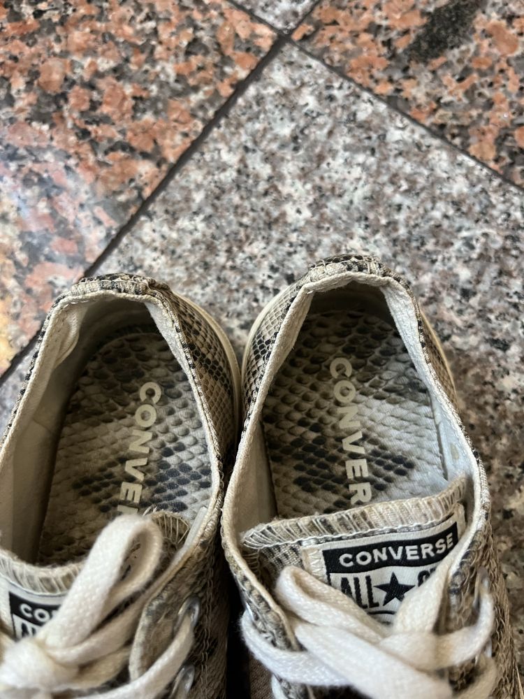 Trampki Converse Chuck Taylor zebra na lato