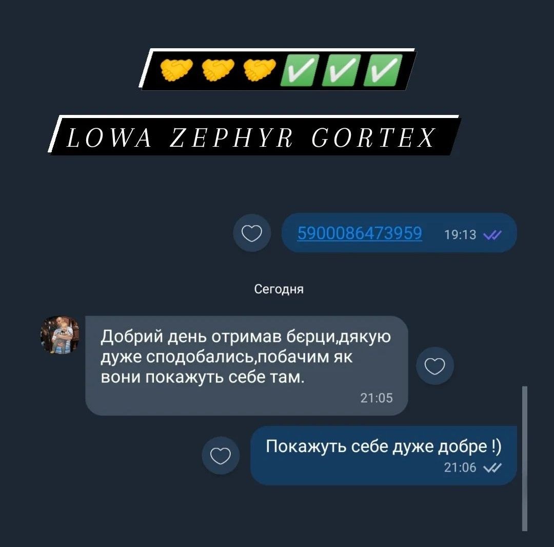 Ботинки ЛІТНІ LOWA ZEPHYR GORTEX ботинки Лова койот олива ЗСУ тактичні